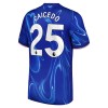 Chelsea Caicedo 25 Fotbollströjor Hemma 2024-25